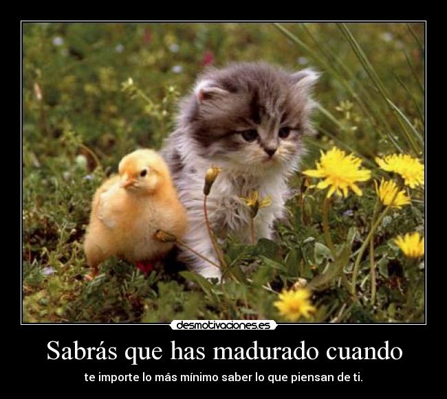 Sabrás que has madurado cuando - 