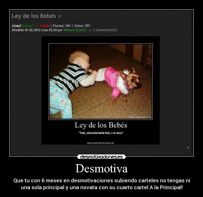 Desmotiva - Que tu con 6 meses en desmotivaciones subiendo carteles no tengas ni
una sola principal y una novata con su cuarto cartel A la Principal!