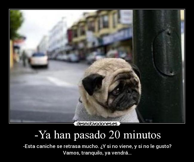 carteles pasado sweet jejeje perrito caniche raza perro por alguien sabe xdd desmotivaciones