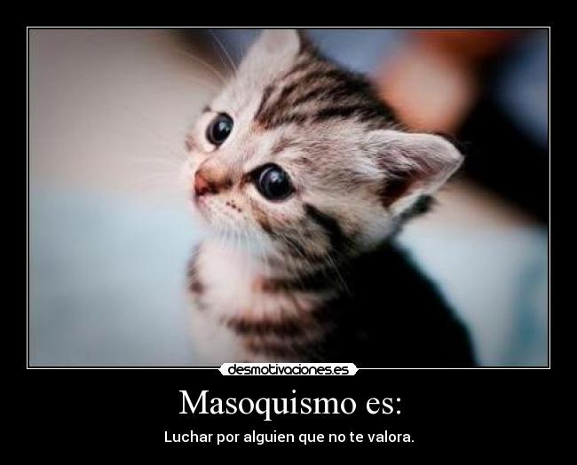 Masoquismo es: - Luchar por alguien que no te valora.