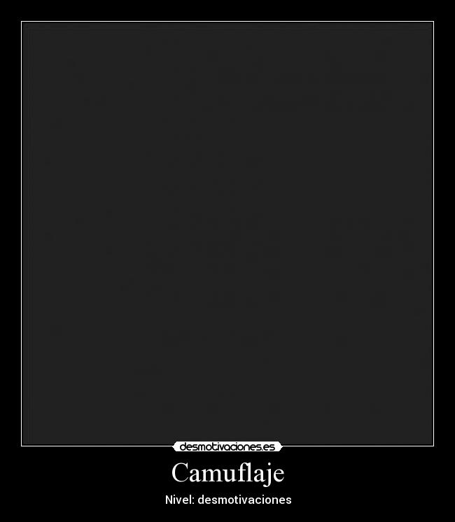 Camuflaje -