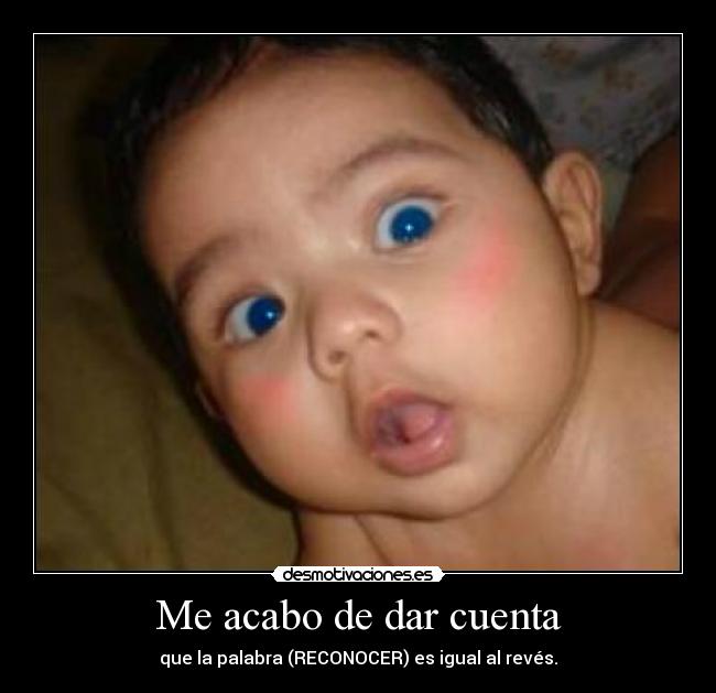 Me acabo de dar cuenta - que la palabra (RECONOCER) es igual al revés.