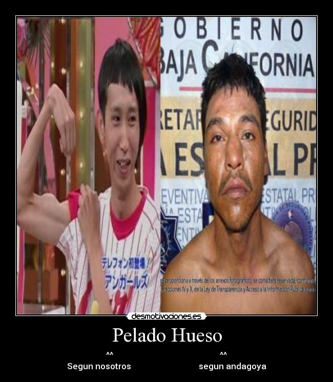 carteles hueso pelado pandillero desmotivaciones