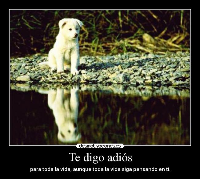 Te digo adiós - para toda la vida, aunque toda la vida siga pensando en ti.