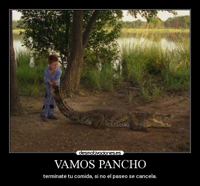 VAMOS PANCHO - termínate tu comida, si no el paseo se cancela.