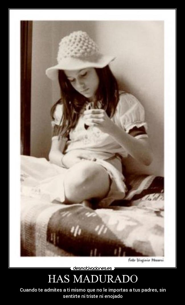 carteles 85h5y desmotivaciones