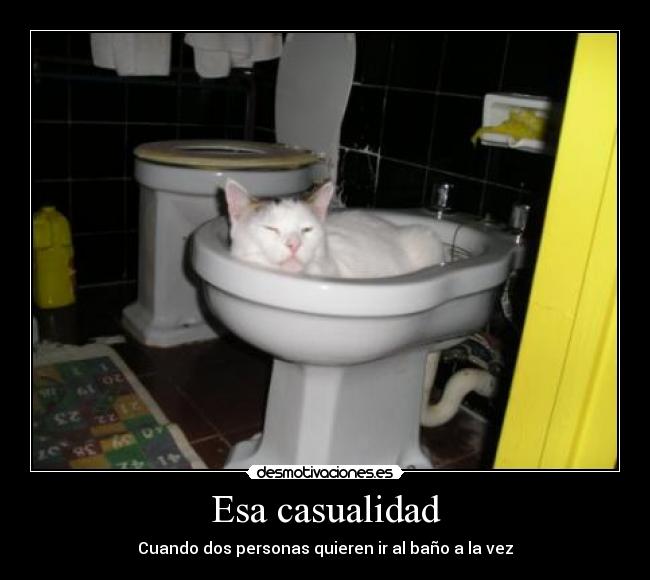 Esa casualidad - Cuando dos personas quieren ir al baño a la vez