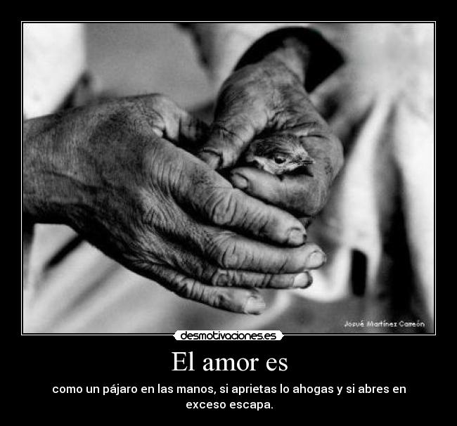 El amor es -