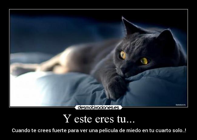 Y este eres tu... -
