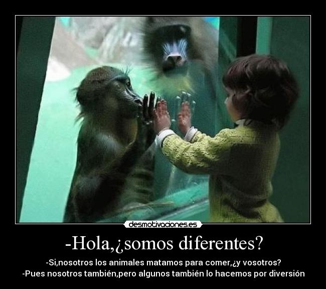 -Hola,¿somos diferentes? -