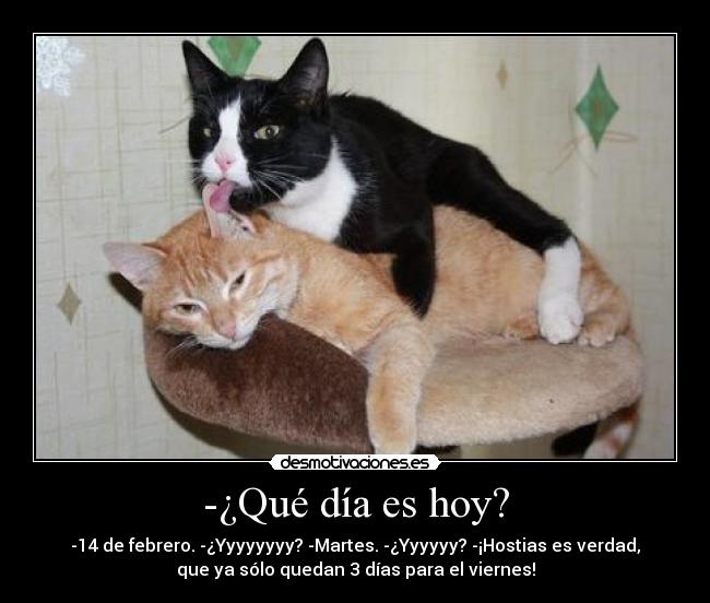 -¿Qué día es hoy? - -14 de febrero. -¿Yyyyyyyy? -Martes. -¿Yyyyyy? -¡Hostias es verdad,
que ya sólo quedan 3 días para el viernes!