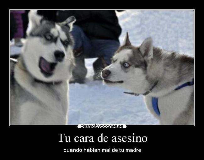 Tu cara de asesino -