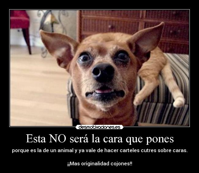 Esta NO será la cara que pones - 