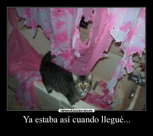 Ya estaba así cuando llegué... -