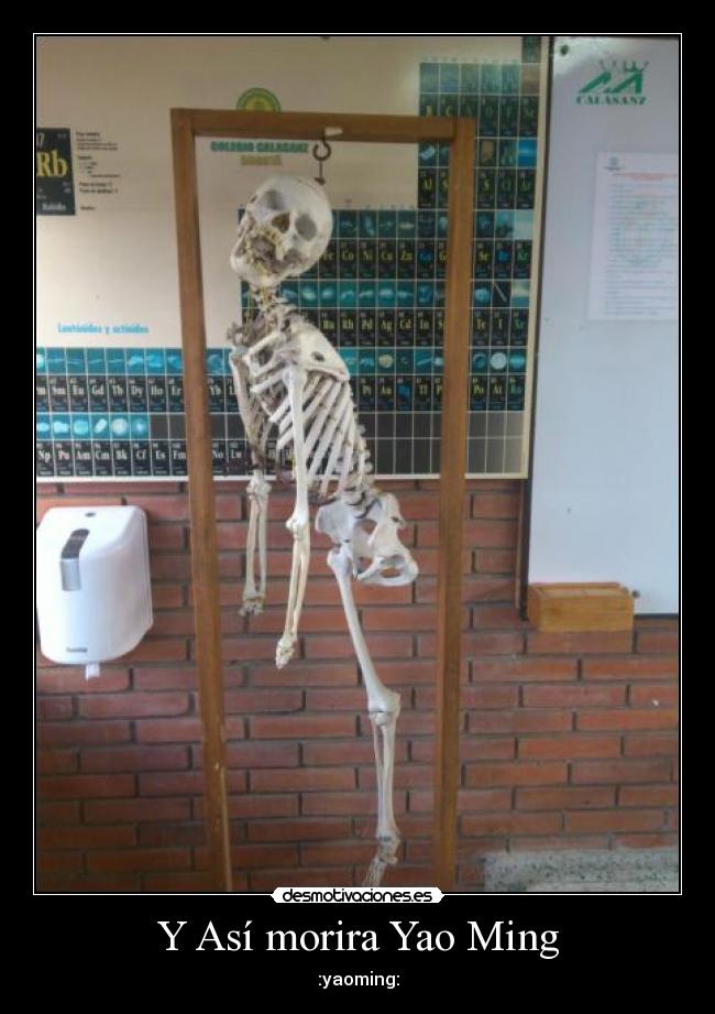 Y Así morira Yao Ming - :yaoming: