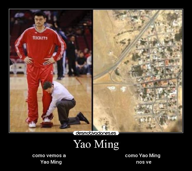 Yao Ming -