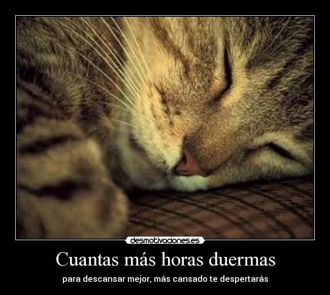 carteles dormir desmotivaciones