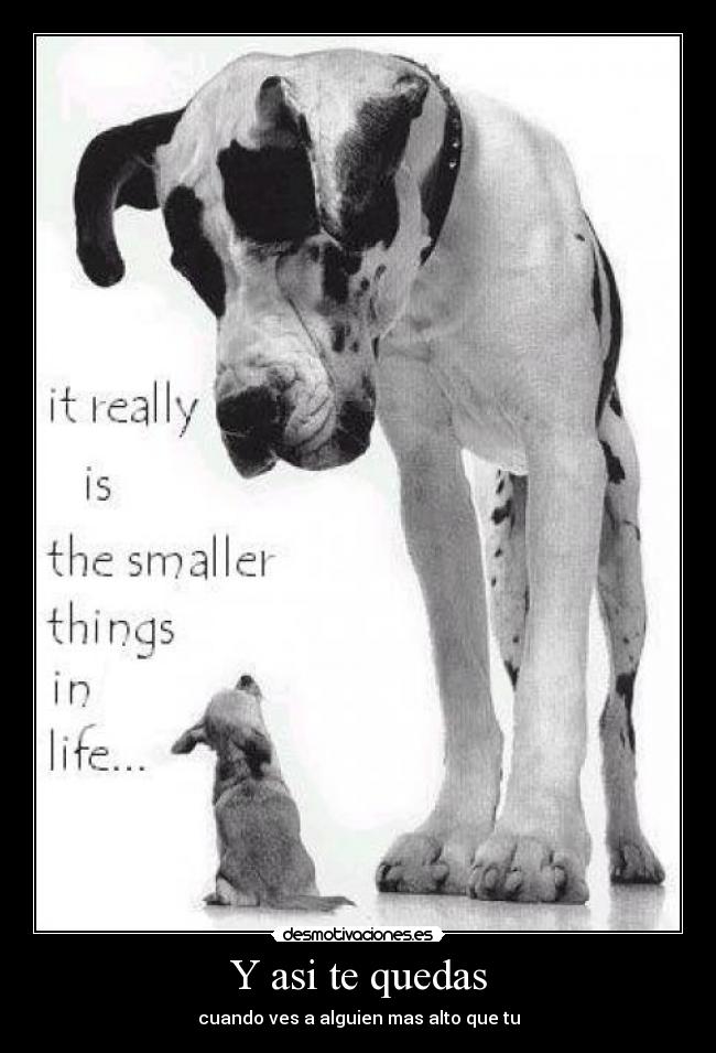 carteles  desmotivaciones