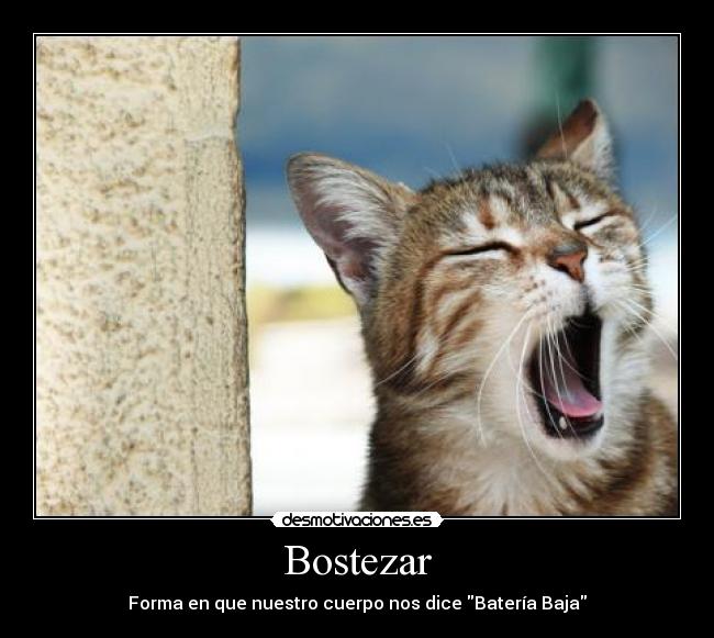 Bostezar - 