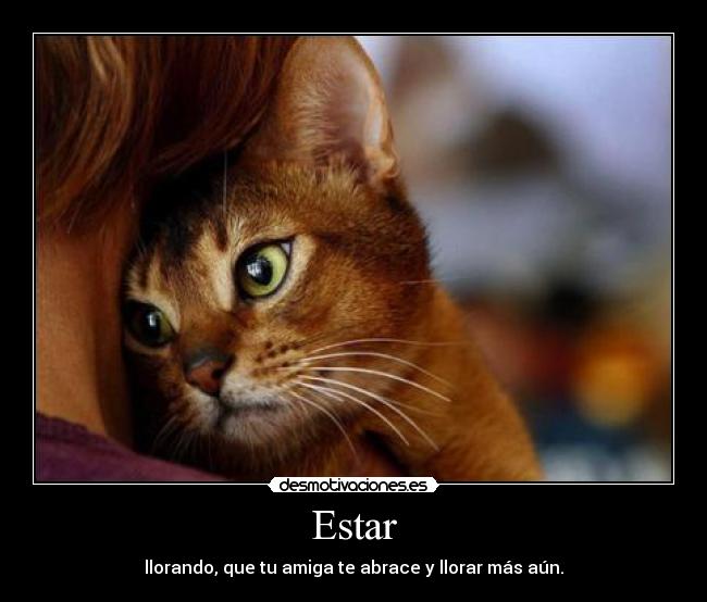 Estar - 