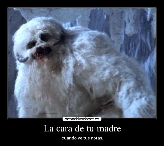 carteles madre yeti madre desmotivaciones