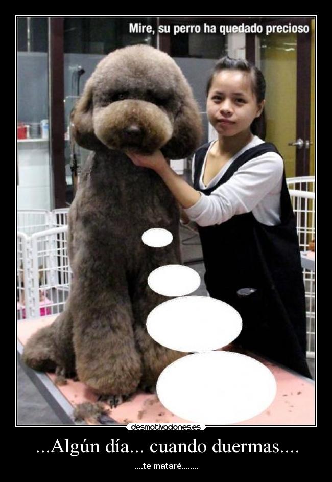 ...Algún día... cuando duermas.... - ....te mataré........