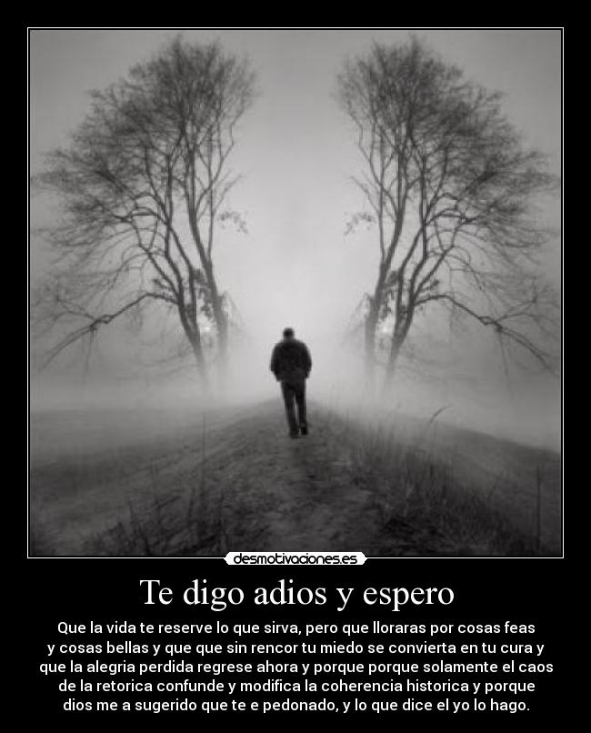 Te digo adios y espero -