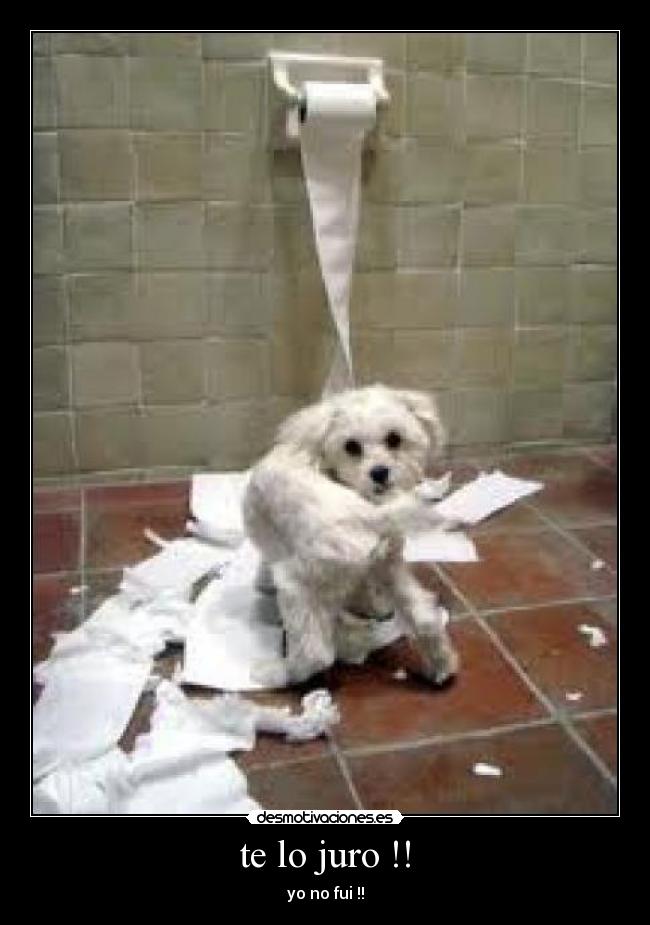 te lo juro !! - 