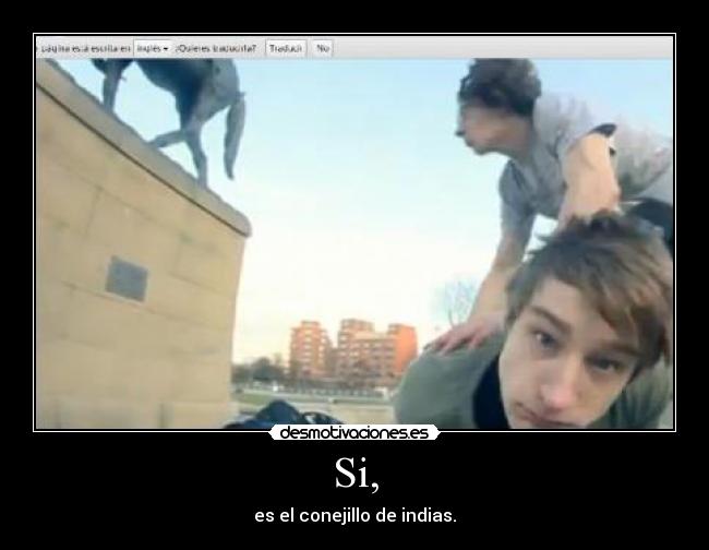 Si, - es el conejillo de indias.