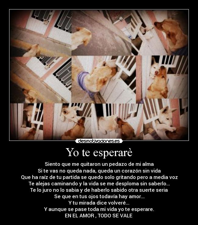 Yo te esperarè -