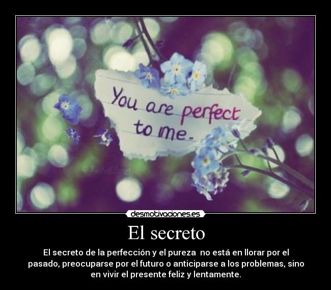 El secreto - El secreto de la perfección y el pureza  no está en llorar por el
pasado, preocuparse por el futuro o anticiparse a los problemas, sino
en vivir el presente feliz y lentamente.