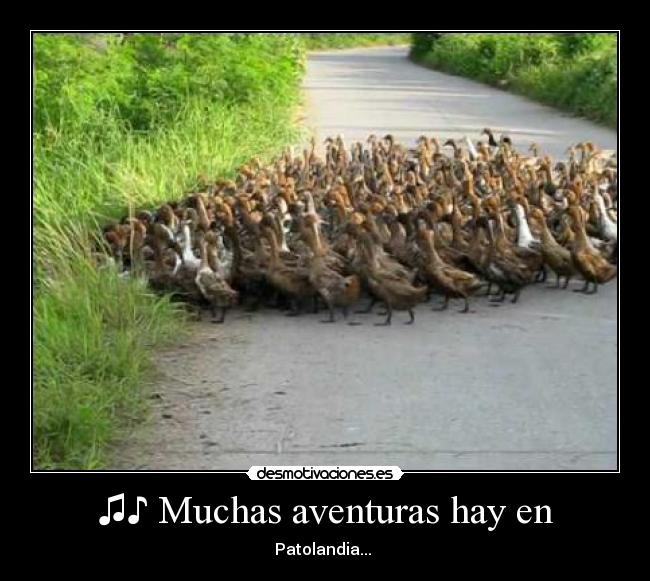 ♫♪ Muchas aventuras hay en - Patolandia...♪♫