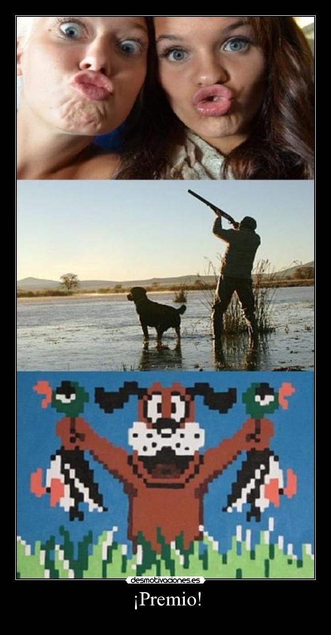¡Premio! - 