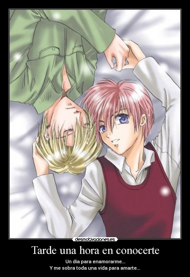 Tarde una hora en conocerte - 