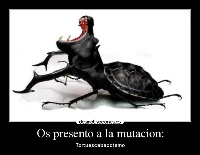 Os presento a la mutacion: - Tortuescabapotamo