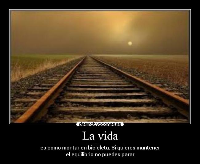 La vida - es como montar en bicicleta. Si quieres mantener
 el equilibrio no puedes parar.