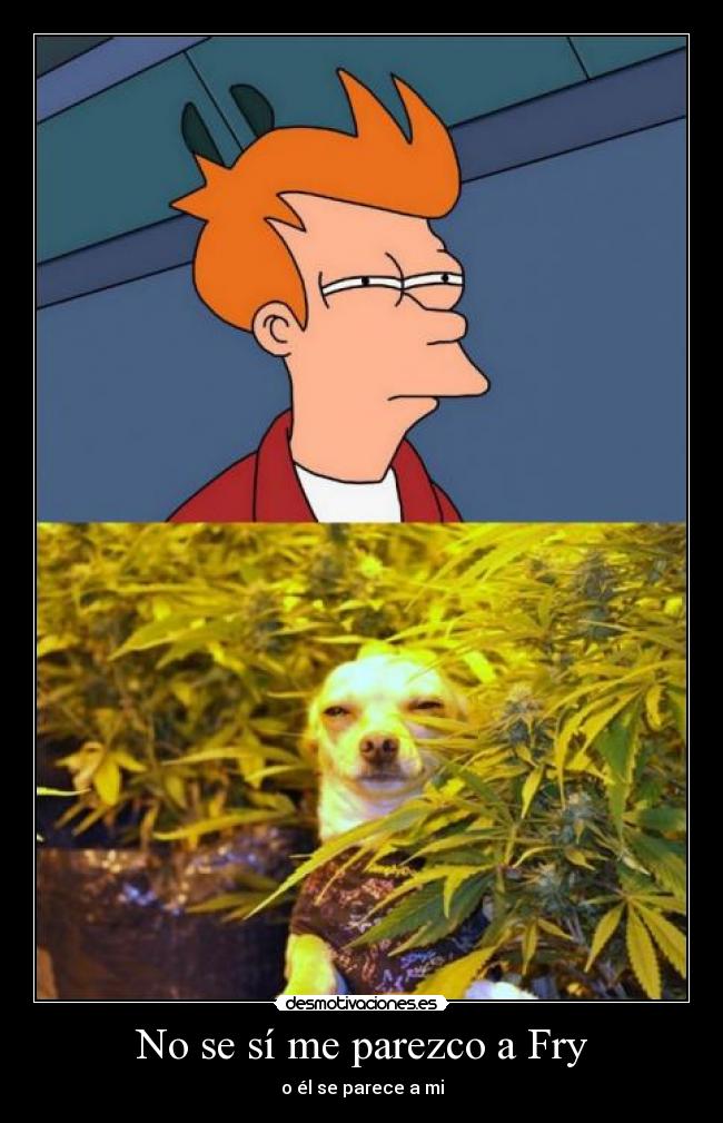 No se sí me parezco a Fry - o él se parece a mi