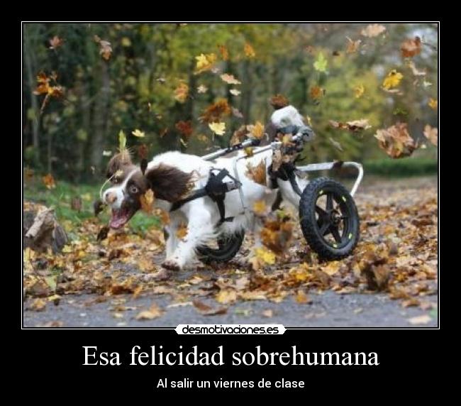 Esa felicidad sobrehumana - Al salir un viernes de clase