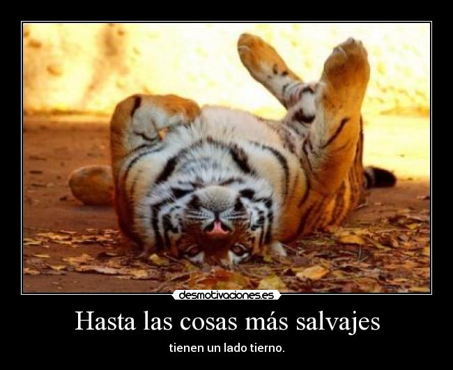 Hasta las cosas más salvajes -