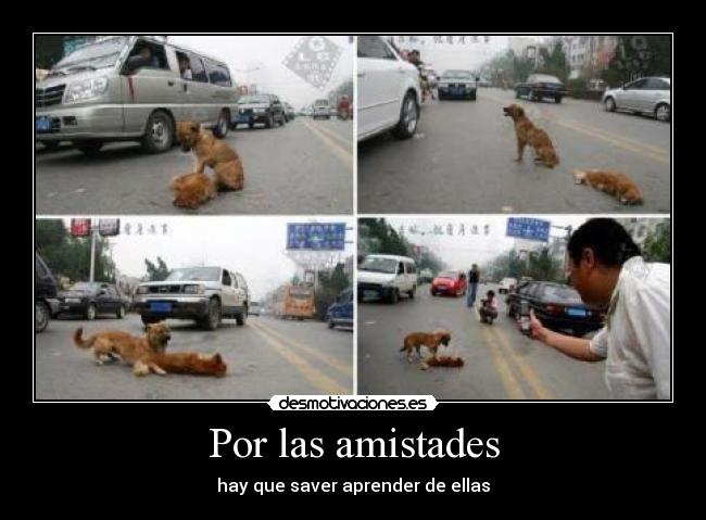 Por las amistades - 