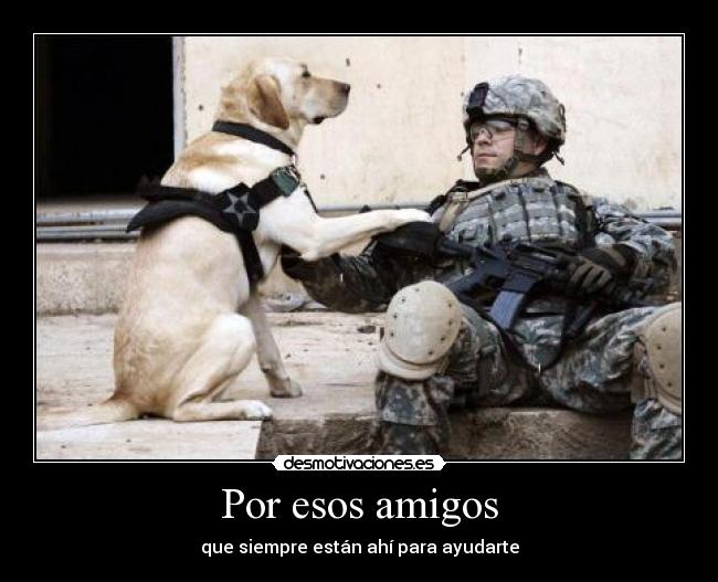 Por esos amigos - 