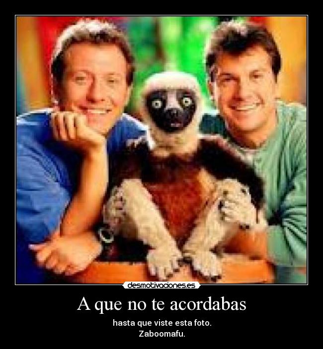 carteles love zaboofafu desmotivaciones