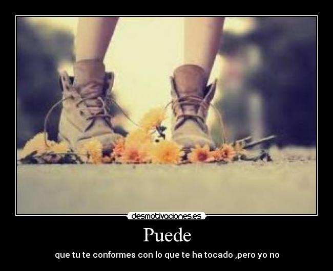 carteles buscare buscare desmotivaciones