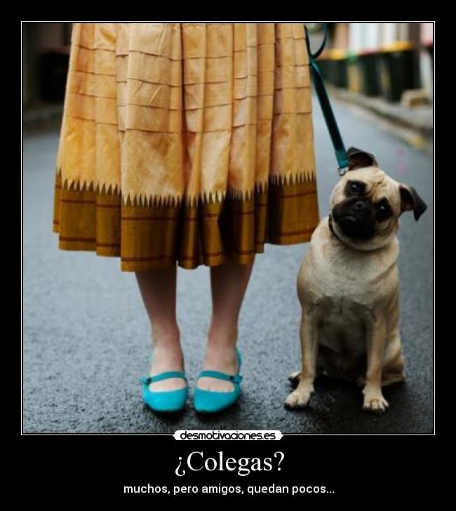 ¿Colegas? -