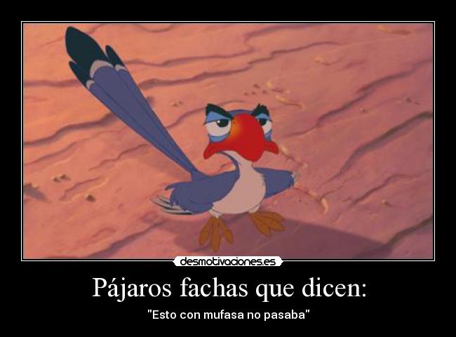 Pájaros fachas que dicen: - 