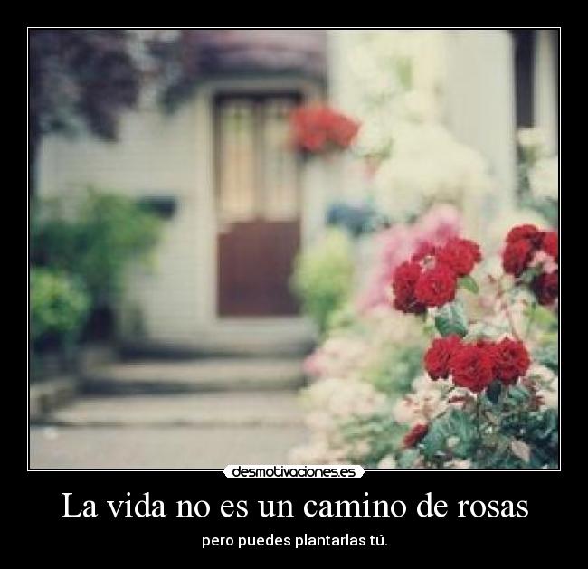 La vida no es un camino de rosas - pero puedes plantarlas tú.