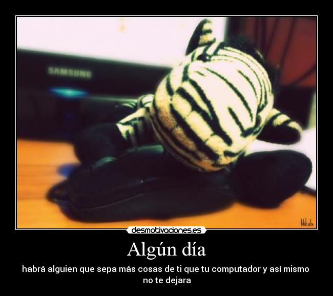 carteles zebra desmotivaciones