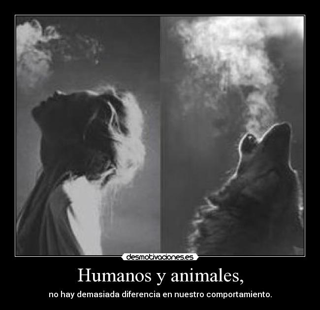 Humanos y animales, - no hay demasiada diferencia en nuestro comportamiento.
