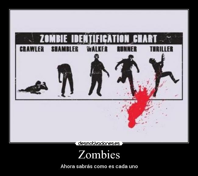 Zombies - Ahora sabrás como es cada uno