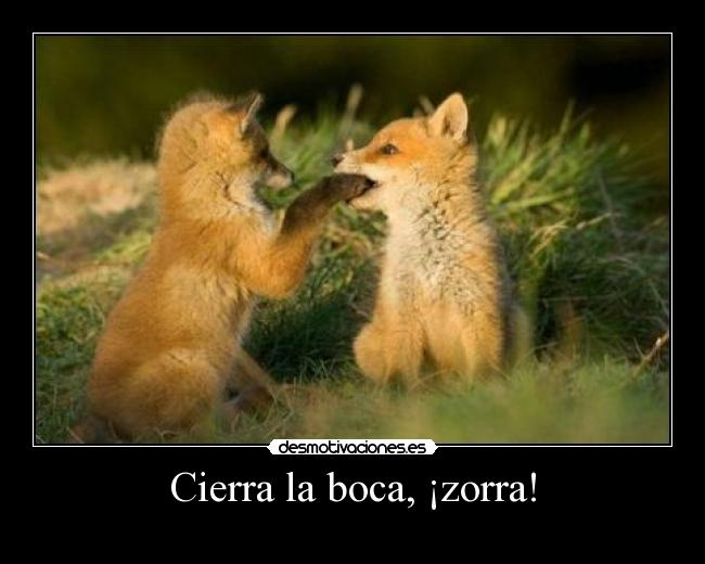 Cierra la boca, ¡zorra! - 